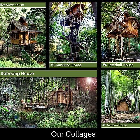 Rabeang Pasak Tree House Resort Чиангмай Экстерьер фото